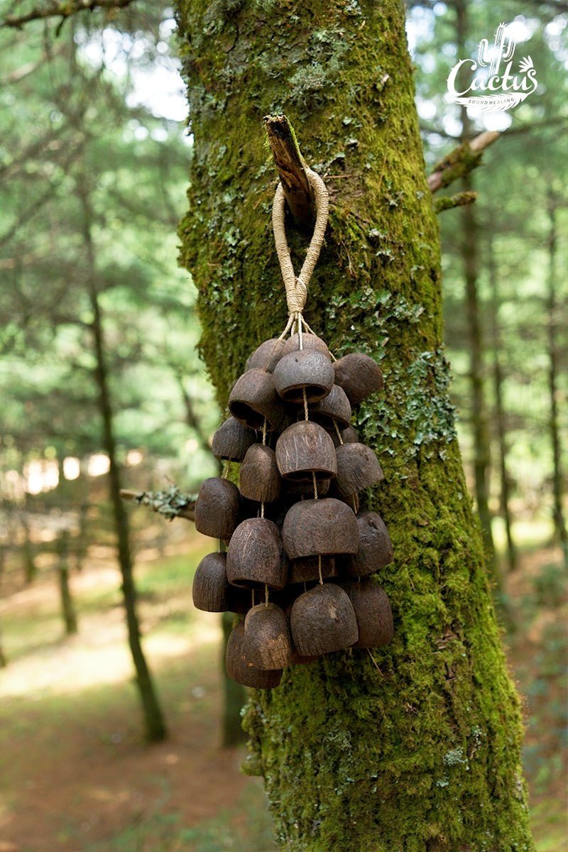 Hand Bell | Salin Water Bellwood Seed Shaker