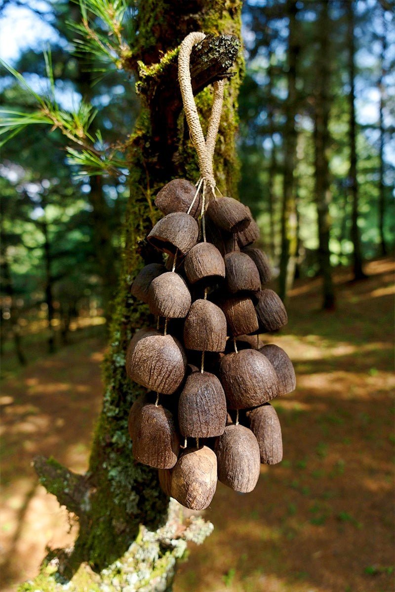 Hand Bell | Salin Water Bellwood Seed Shaker