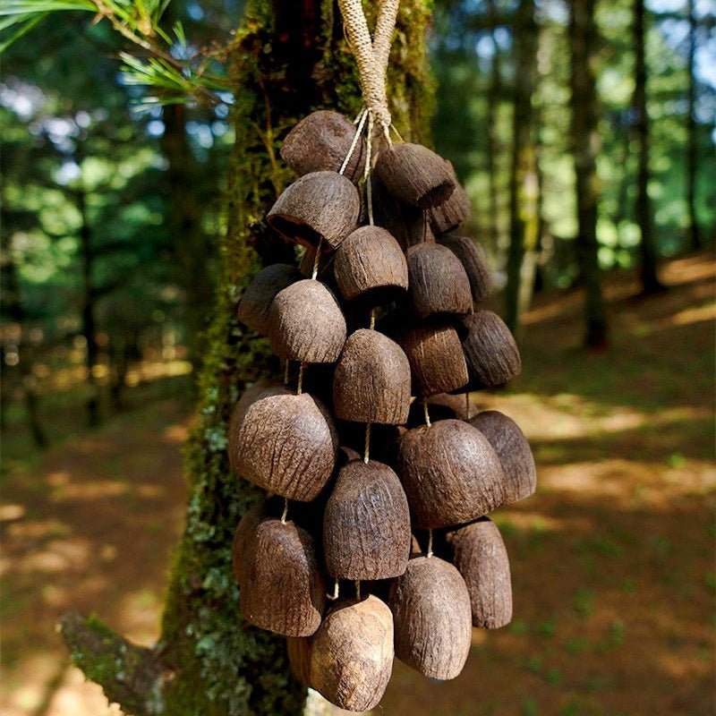 Hand Bell | Salin Water Bellwood Seed Shaker