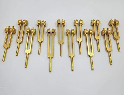 12pc Song of the Spine weighted Tuning Fork Set - Professionally Tuned to .25 Hz for Bio-field Balance and Cellular Harmony