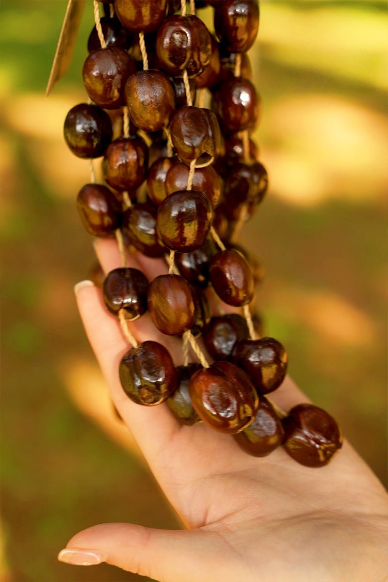 Hand Bell | Handmade Pala Seed Seed Shaker