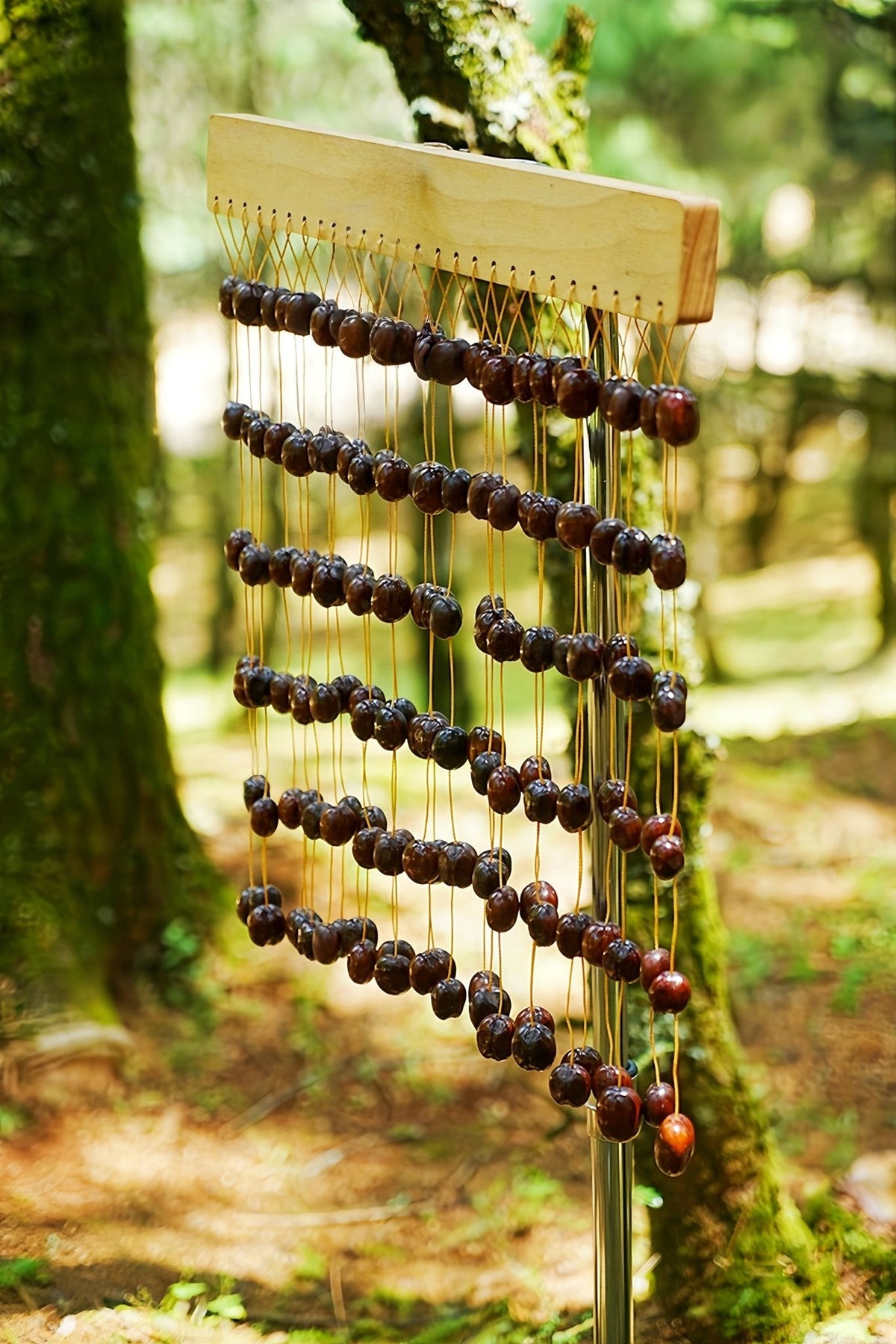 Handmade Pala Seed Shell Hand Bell